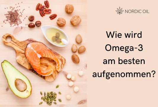 Wie wird Omega-3 am besten aufgenommen?