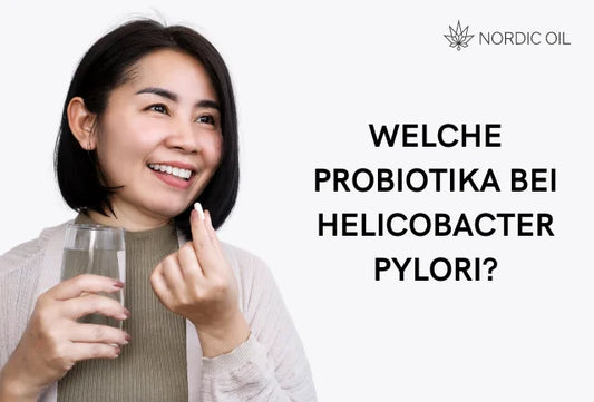 Der Einfluss von Probiotika bei Helicobacter Pylori Befall