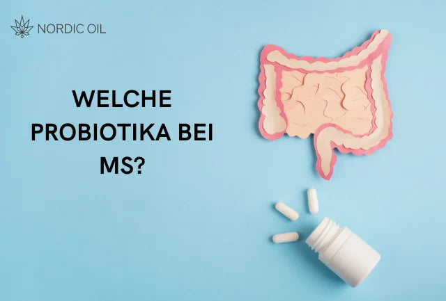 Welche Probiotika können bei MS helfen?