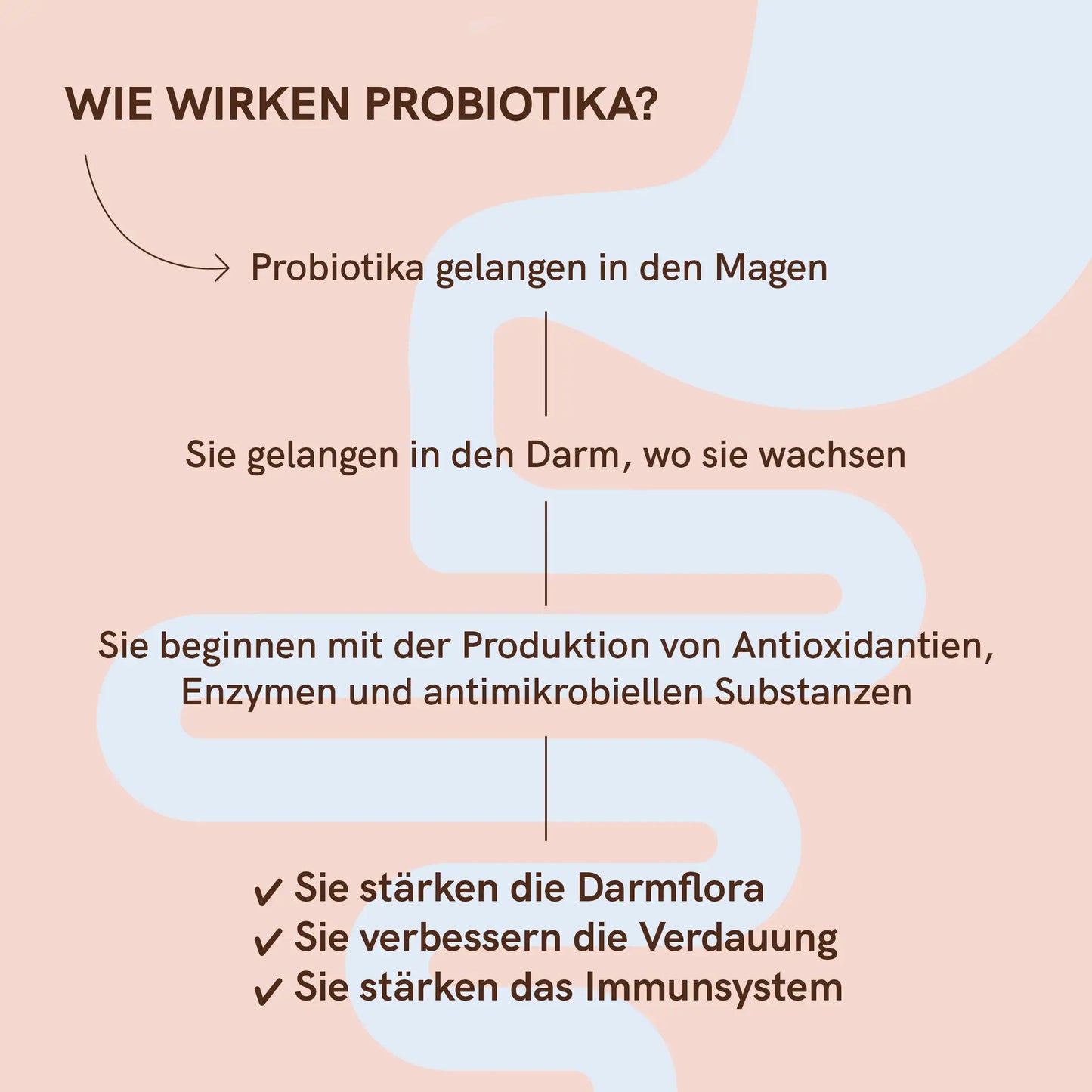 3FÜR2: Probiotika